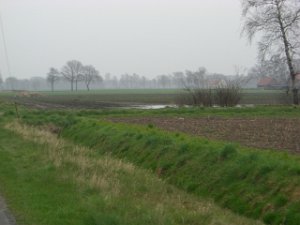 RTF Aschen.2009 032